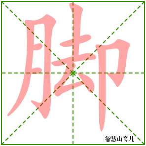 脚字写法 脚的笔顺