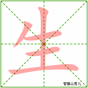 生字写法 生的笔顺
